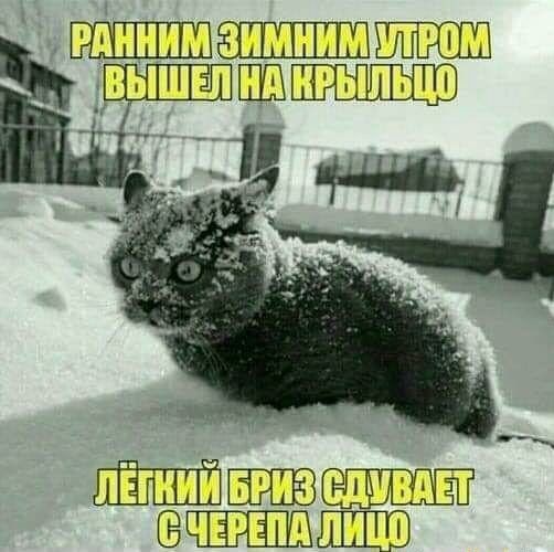 11 Ч РЦИАШ