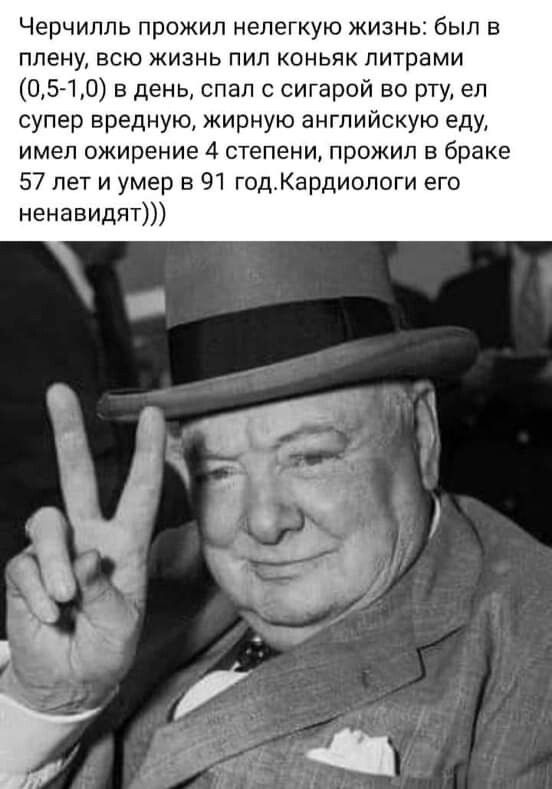Черчилль прожил нелегкую жизнь был в ППЭНУ ВСЮ ЖИЗНЬ ПИП КОНЬЯК ПИТраМИ ЦБ 10 в день спал с сигарой во рту еп супер вредную жирную английскую еду имел ожирение 4 степени прожил в браке 57 лет и умер в 91 годКардиопоги егэ ненавидят