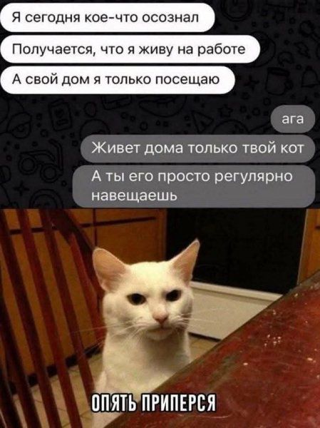 Я сегодня кое-что осознал
Получается, что я живу на работе
А свой дом я только посещаю
ага
Живет дома только твой кот
А ты его просто регулярно навещаешь
ОПЯТЬ ПРИПЕРСЯ