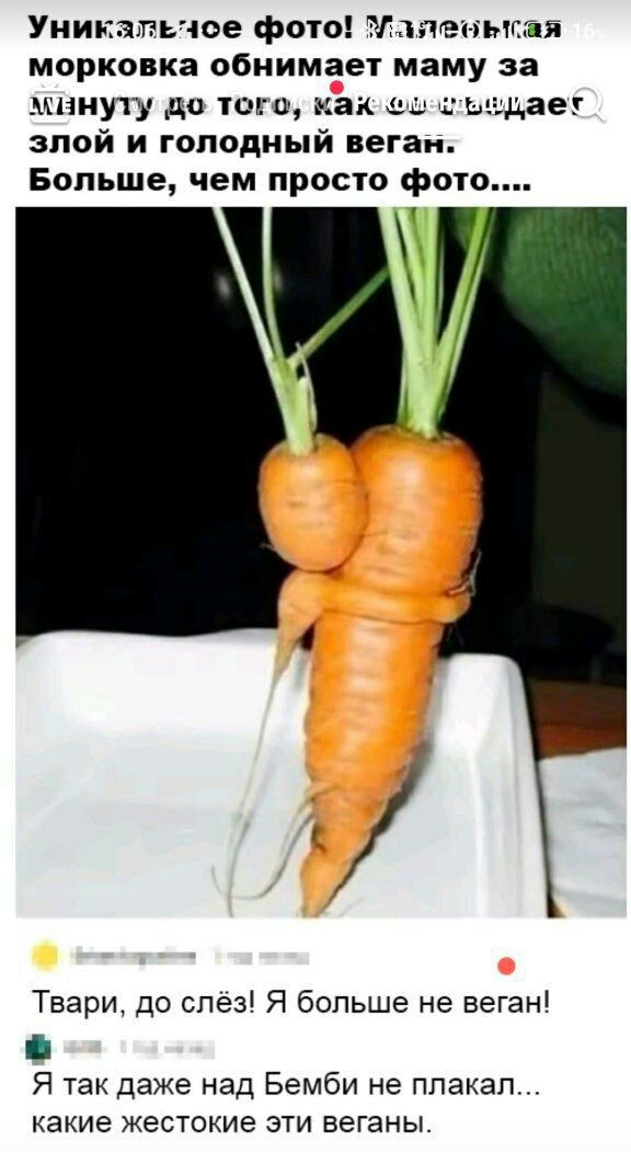 Уникальное фото! Миловская морковка обнимает маму за минуту до того, как она погибнет; злый и голодный веган. Больше, чем просто фото... Твари, до слёз! Я больше не веган! Я так даже над Бэмби не плакал... какие жестокие эти веганы.