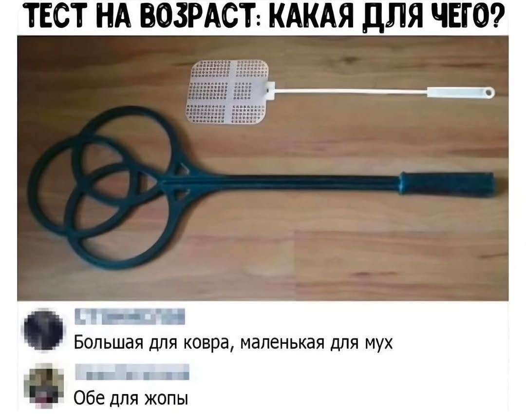 ТЕСТ НА ВОЗРАСТ: КАКАЯ ДЛЯ ЧЕГО? Большая для ковра, маленькая для мух. Обе для жопы