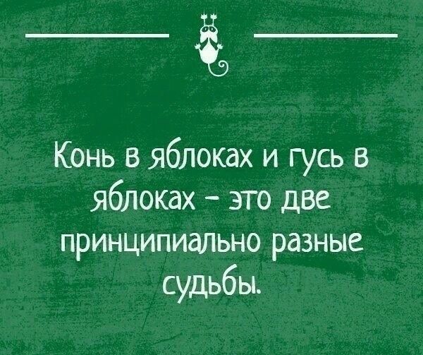 _Ё_ Конь в яблоках и гусь в яблоках это две принципиально разные судьбы