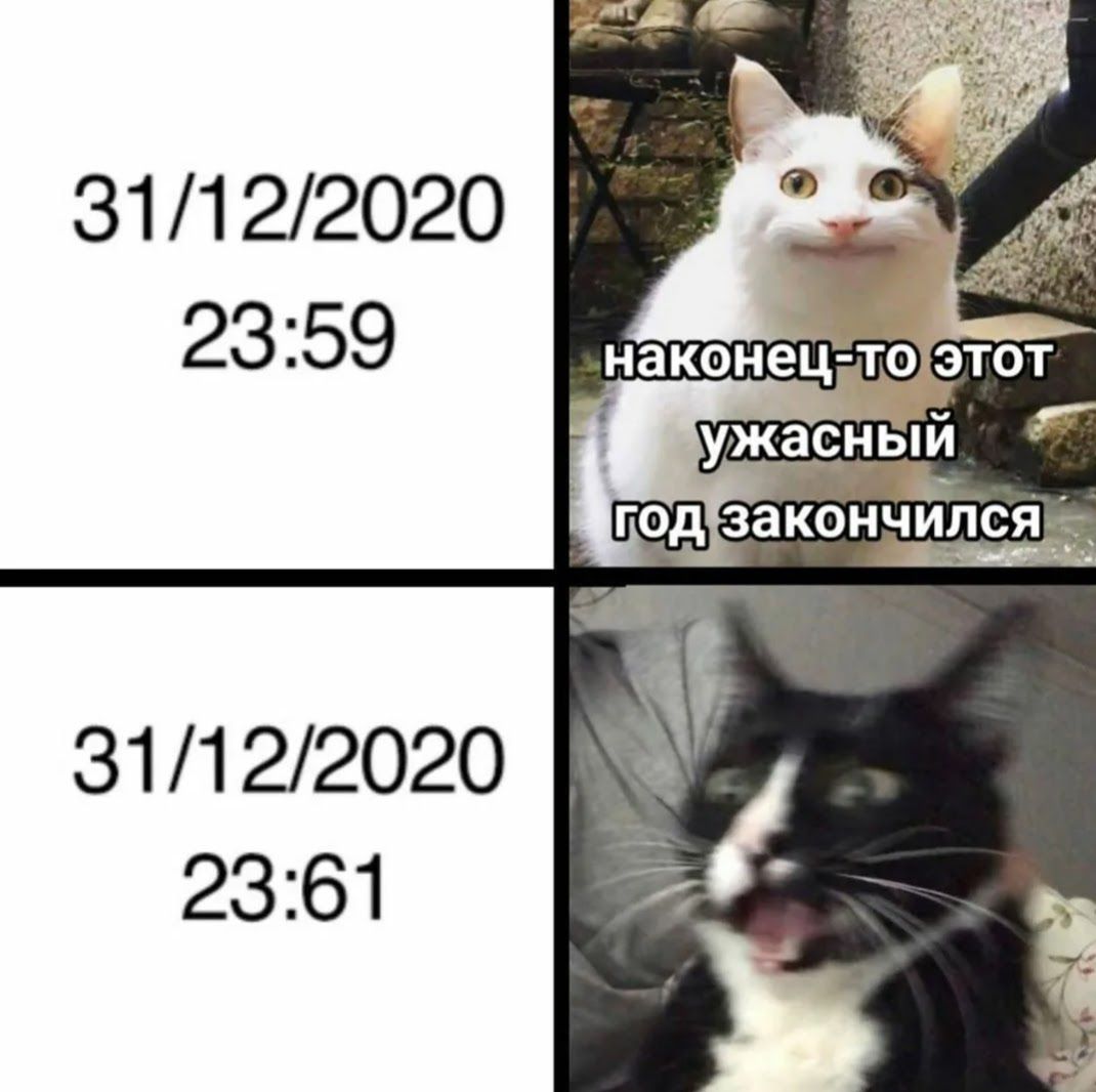 31122020 31122020 2361
