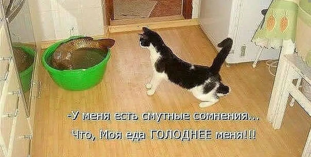 ЭУ Маги ч тоя ц гшшднгг маны
