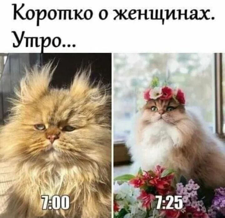 Коротко о женщинах Ут о