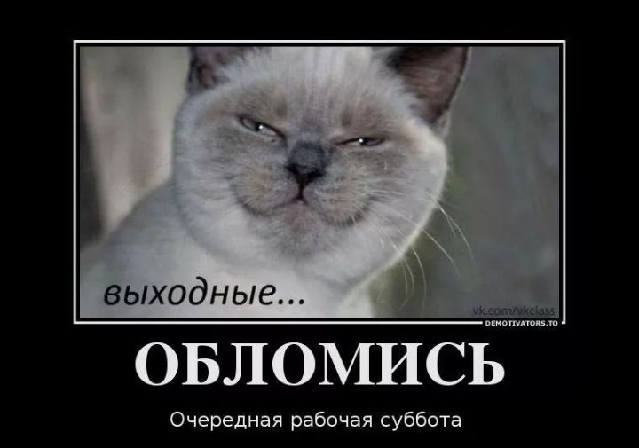 выходные овломиьс Очередная рабочая суббота