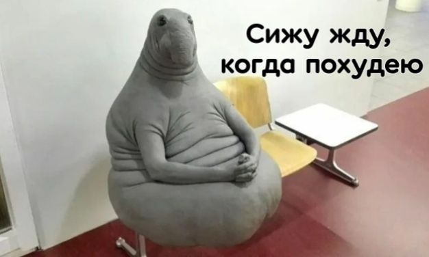 Сижу жду когда похудею