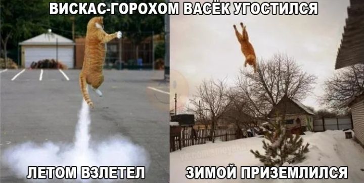 ВИСКАС ГОРОХОМ УГФСТИПСЯ