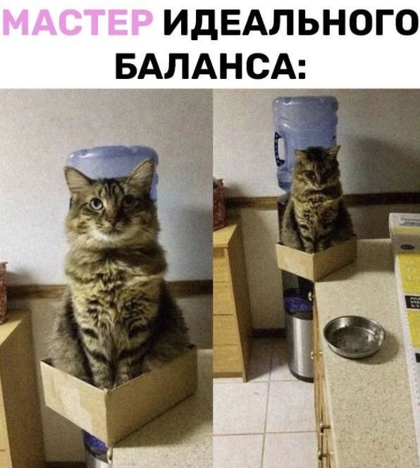 ИДЕАЛЬНОГО БАЛАНСА