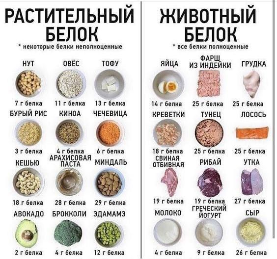 РАСТИТЕЛЬНЫЙ БЕЛОК - некоторые белки неполноценные
НУТ  7 гр белка  
ОВЕС  11 гр белка  
ТОФУ  13 гр белка  
БУРЫЙ РИС  7 гр белка  
ЧЕЧЕВИЦА  9 гр белка  
КЕШЬЮ  3 гр белка  
АРАХИСОВАЯ ПАСТА  4 гр белка  
МИНДАЛЬ  6 гр белка  
АВКАДО  2 гр белка  
БРОККОЛИ  2 гр белка
ЕДА КОТОРАЯ СОДЕРЖИТ ЖИВОТНЫЙ БЕЛОК - все белки полноценные
ЯЙЦА  11 гр белка 
ФАРШ ИЗ ИНДЕЙКИ  25 гр белка 
ГРУДКА  31 гр белка 
КРЕВЕТКИ  25 гр белка 
ТУНЕЦ  26 гр белка 
ЛОСОСЬ  25 гр белка 
СВИНИНА ОТБИВНАЯ  29 гр белка 
РЫБА  25 гр белка 
УТКА  19 гр белка 
МОЛОКО  3 гр белка 
ГРЕЧНЕВЫЙ ЙОГУРТ  5 гр белка