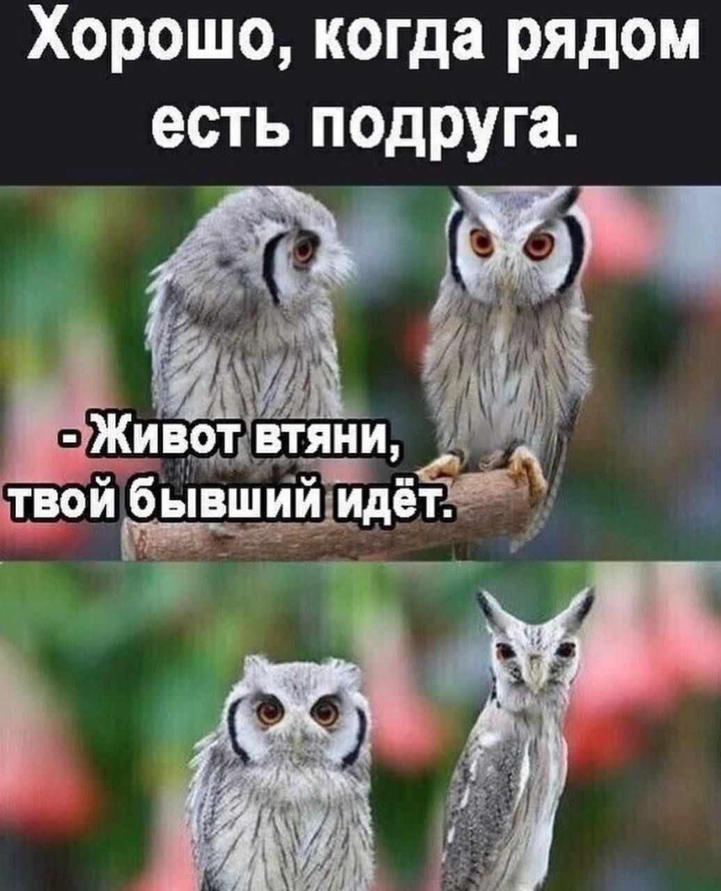 Хорошо, когда рядом есть подруга.

- Живот втяни, твой бывший идёт.