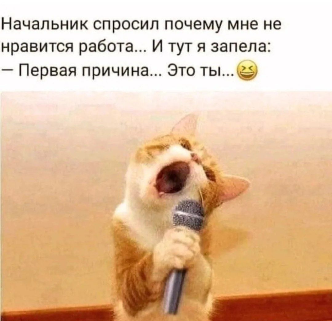 Начальник спросил почему мне не нравится работа... И тут я запела: — Первая причина... Это ты...