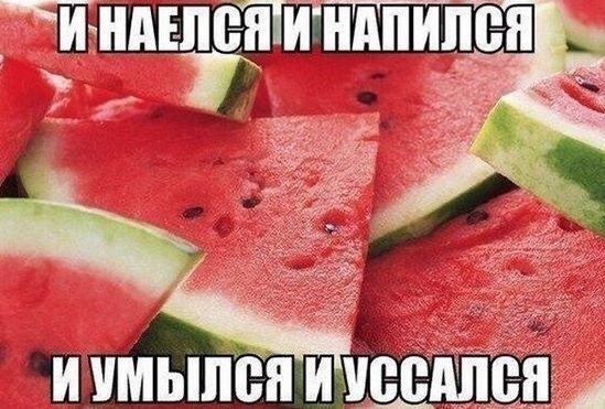 и наелся и напился и умылся и уссался