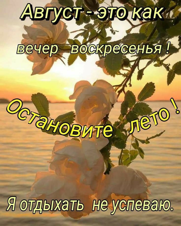 Август - это как вечер воскресенья!
Остановите лето!
Я отдыхать не успеваю.
