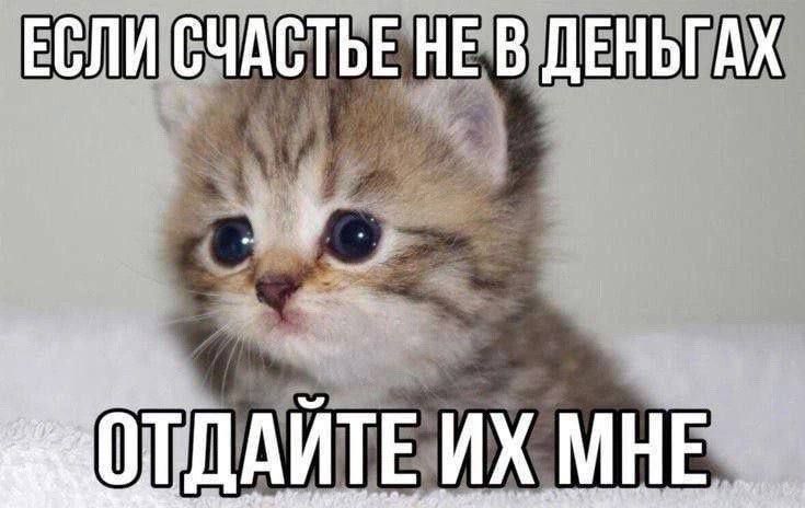 ЕСЛИ СЧАСТЬЕ НЕ В ДЕНЬГАХ ОТДАЙТЕ ИХ МНЕ