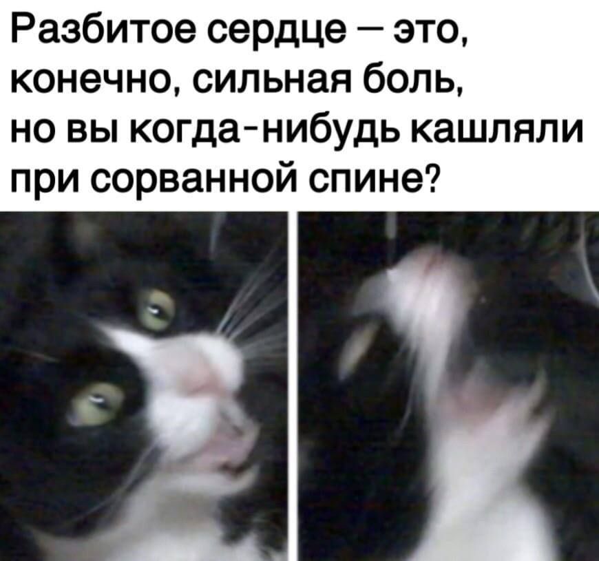 Разбитое сердце – это, конечно, сильная боль, но вы когда-нибудь кашляли при сорванной спине?