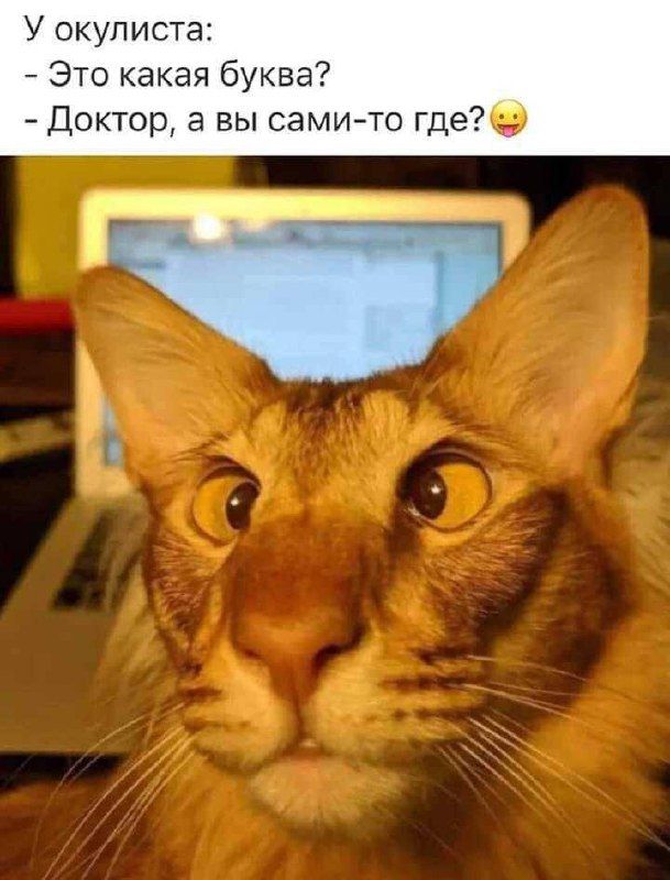 У окулиста:
- Это какая буква?
- Доктор, а вы сами-то где? 😛