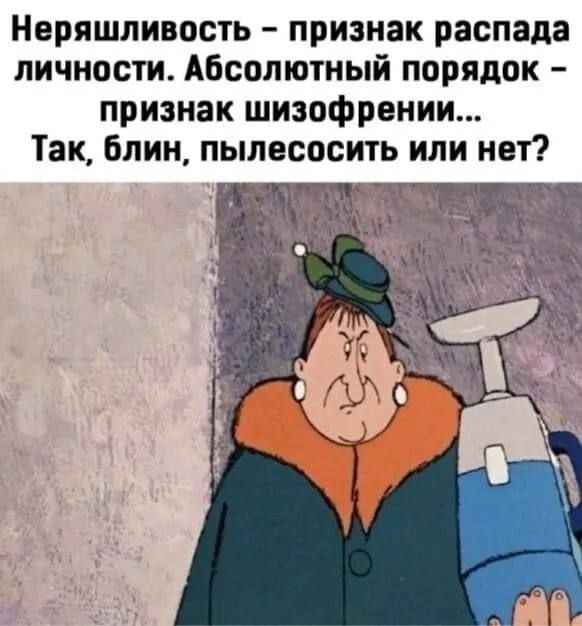 Неряшливость – признак распада личности. Абсолютный порядок – признак шизофрении... Так, блин, пылесосить или нет?