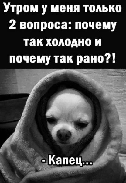 Утром у меня только 2 вопроса: почему так холодно и почему так рано?! - Капец...