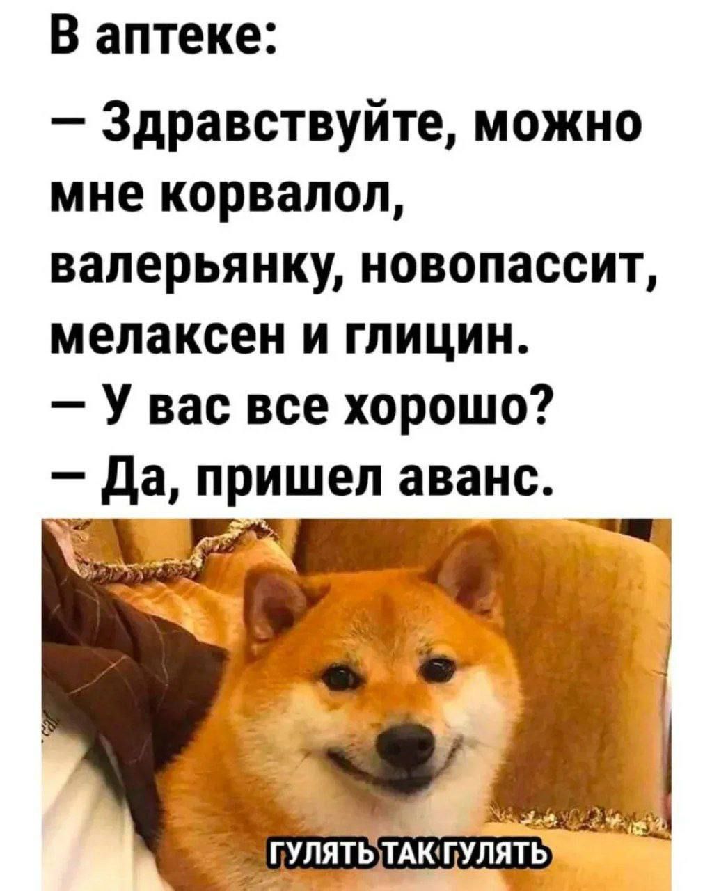 В аптеке:\n– Здравствуйте, можно мне корвалол, валерьянку, новопассит, мелаксен и глицин.\n– У вас все хорошо?\n– Да, пришел аванс.