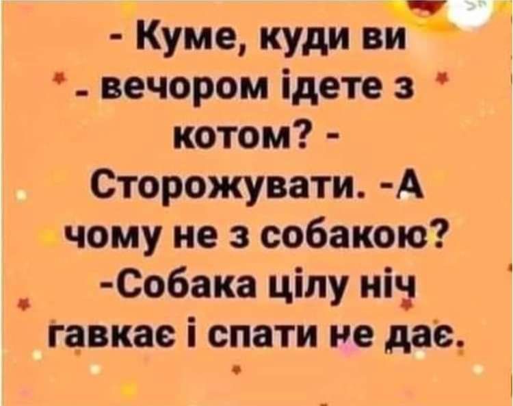 Куме куди вич _ вечером ідете з котом Сторожувати А чому не собакою Собака ціпу ніід гавкас спати не дав