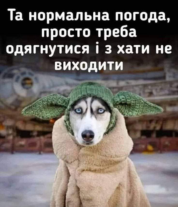Та нормальна погода просто треба одягнутися і 3 хати не виходити