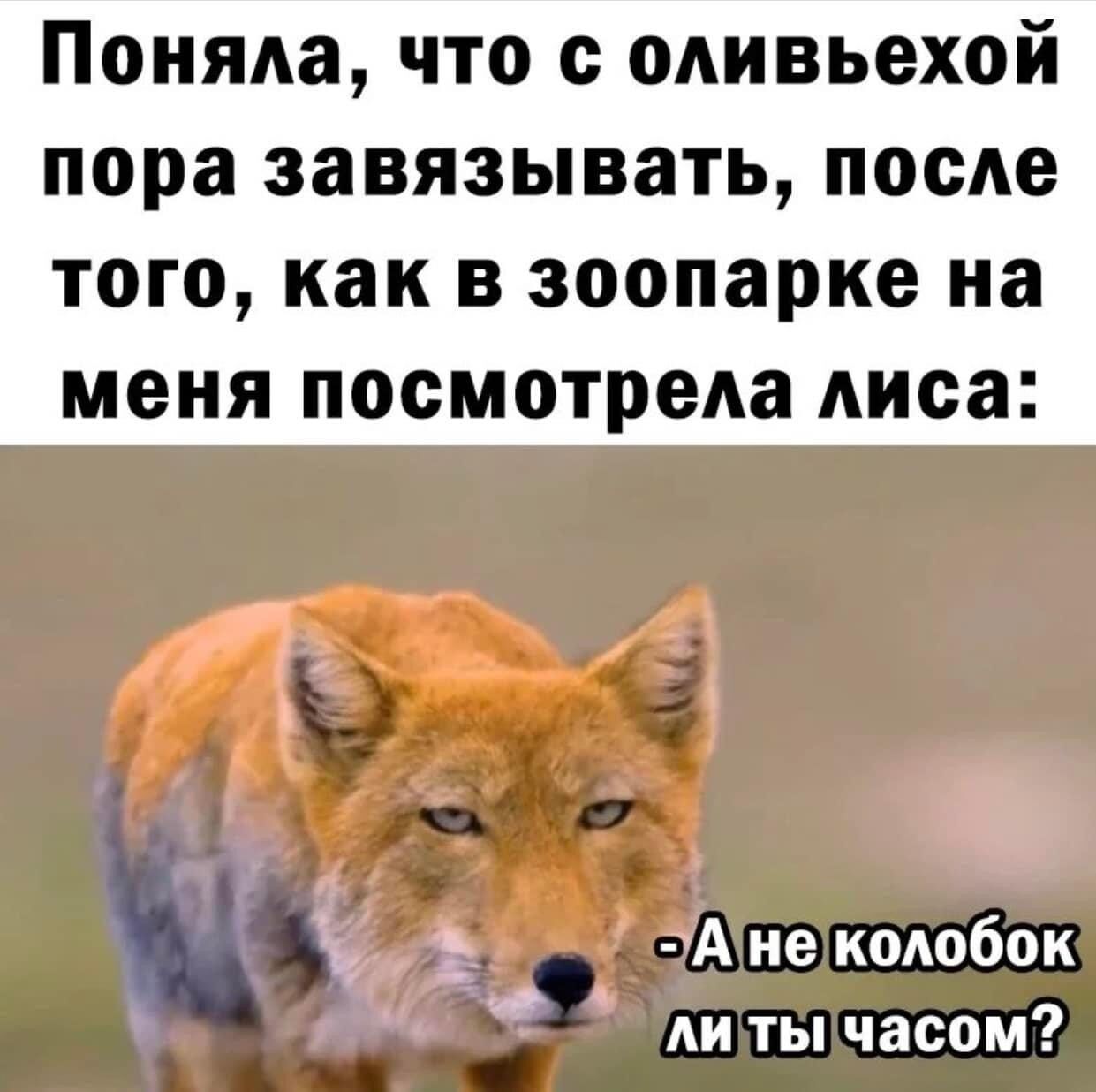 Поняла что с одивьехой пора завязывать после того как в зоопарке на меня посмотрела лиса 7 _ а д плыла сч і