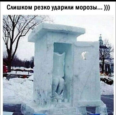Слишком резко ударили морозы