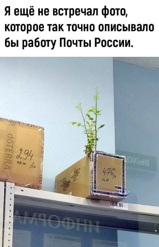 Я ещё не встречал фото которое так точно описывапо бы работу Почты России