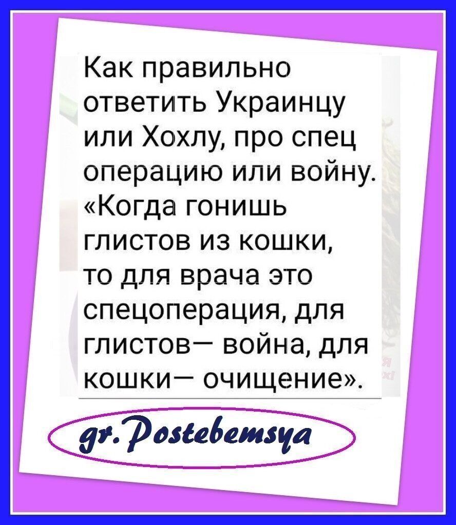 Как правильно ответить Украинцу или Хохпу про спец операцию ипи войну Когда гонишь глистов из кошки то для врача это спецоперация для глистов война для кошки очищение дъРаиебеиауа
