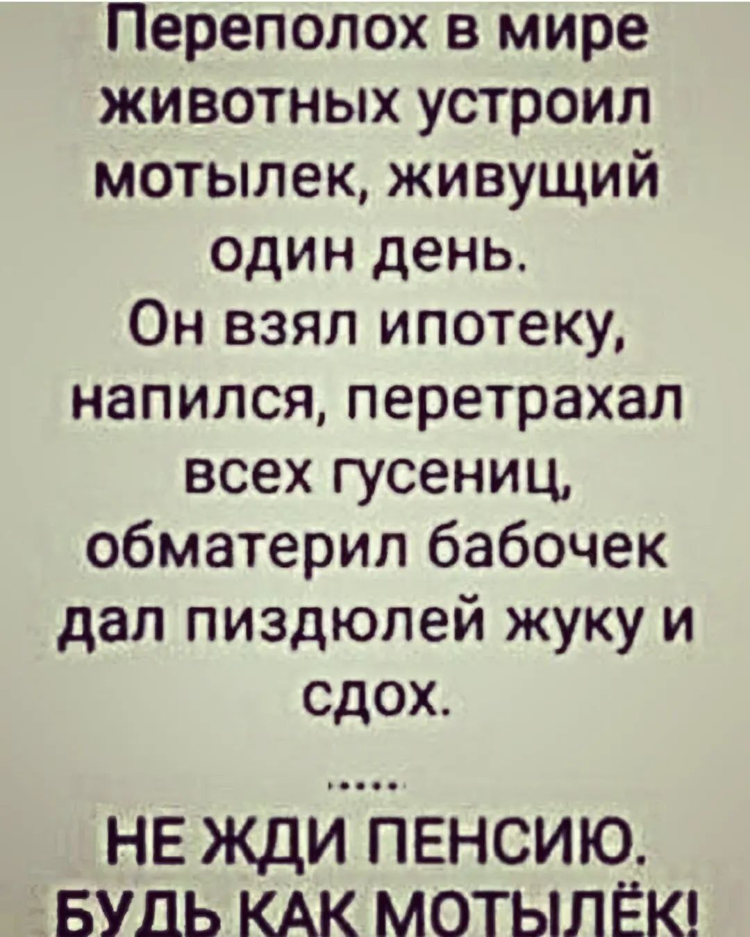 Переполох в мире животных устроил мотылек живущий один день Он взял ипотеку напился перетрахал всех гусениц обматерил бабочек дал пиздюлей жуку и сдох НЕ ЖДИ ПЕНСИЮ БУДЬ КАК МОТЫЛЁК
