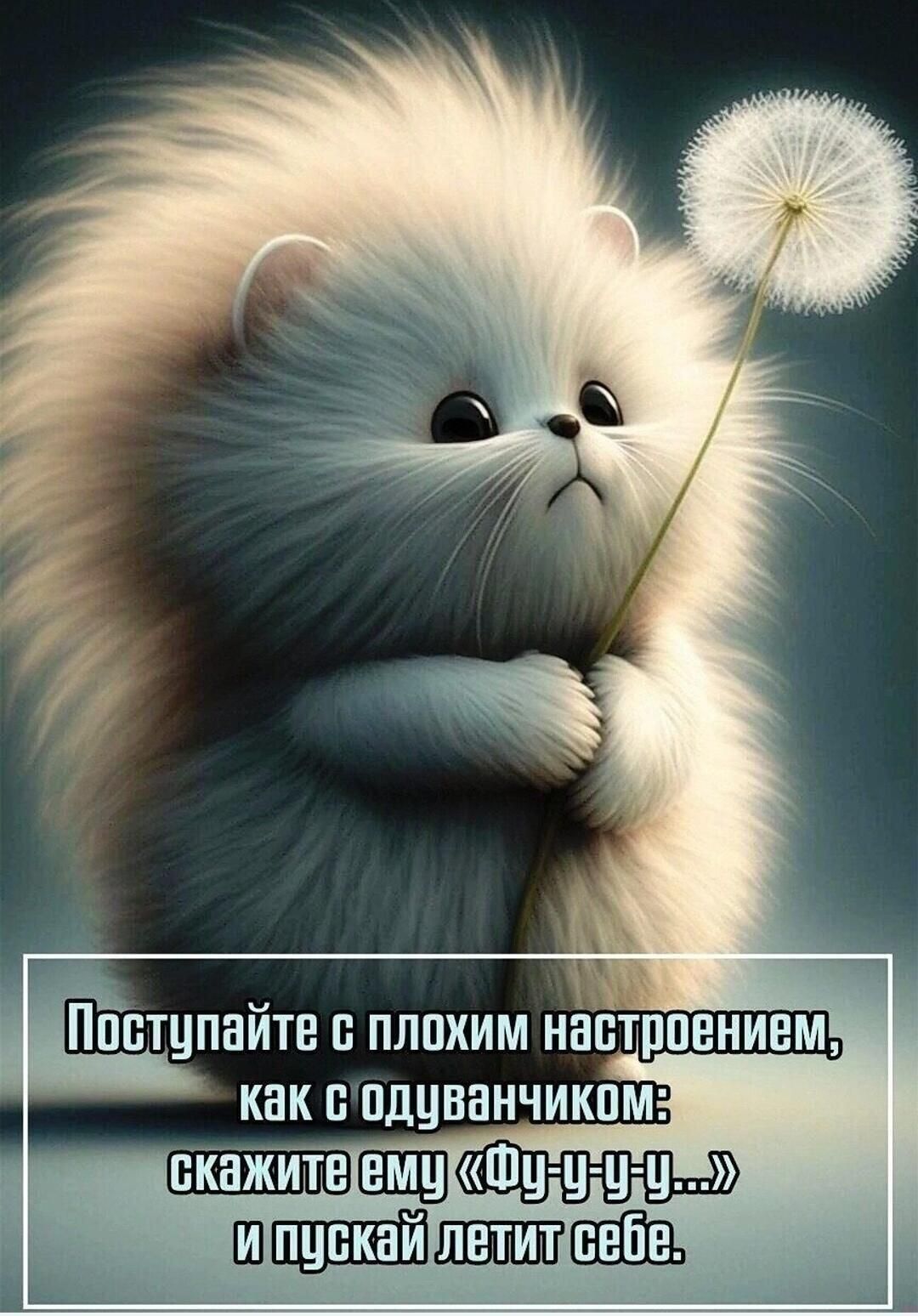 ПБТЦПБИТЕ В ПЛПХИМ НВВТППЕНИЕМ как В ПДЦВННЧИКПМ скажите тишина