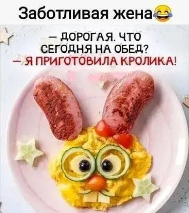 Заботливая жена _ г дорогдя что сегодня НА овал я приготовилд кроликм