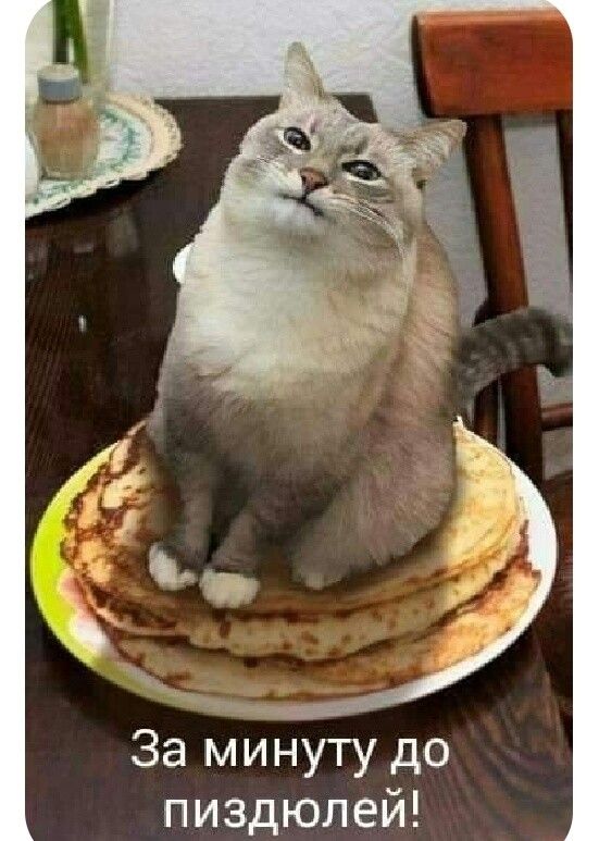 За мйнуту до пиздюлей
