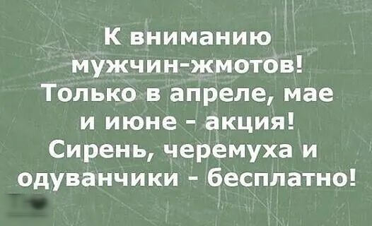 К вниманию мужчин жмотов Только в апреле мае и июне акция Сирень черемуха и одуванчики бесплатно