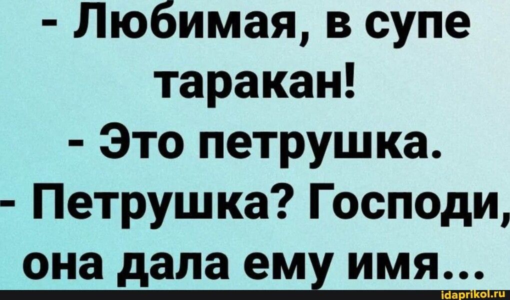 Любимая в супе таракан Это петрушка Петрушка Господи она дала ЕМ ИМЯ