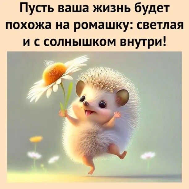Пусть ваша жизнь будет похожа на ромашку светлая и солнышком внутри