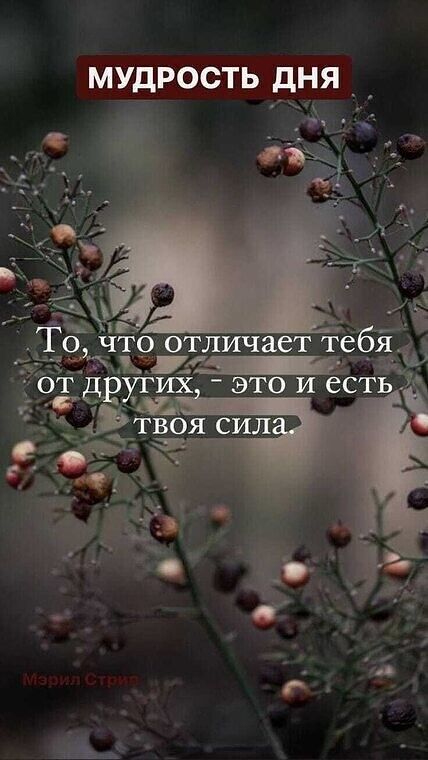 МУЕРООТЬ дня _