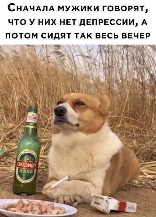 СНАЧАЛА МУЖИКИ ГОВОРЯТ ЧТО У НИХ НЕТ дЕПРЕССИИ А ПОТОМ СИдЯТ ТАК ВЕСЬ ВЕЧЕР