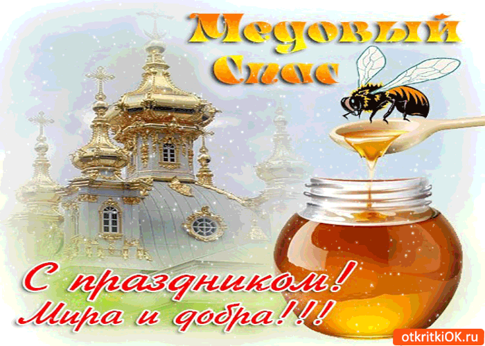 ____ кгс усшгцпг _Щашы щиток
