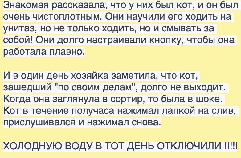 Знакомая рассказала что у них был кот и он был тень чистоплотным Они научили его ходить на унитаз но не только ходить по и смывать за собой Они долго настраивали кнопку чтобы она работала плавно И в один день хозяйка заметила что кот зашедший по своим делам долго не выходит Когда она заглянула в сортир то была в шоке Кот в течение получаса нажимал папкой на слив прислушивался и нажимал снова ХОЛОД