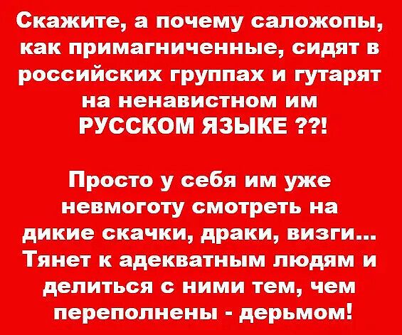 Мо ___ ппц пт инжи про пушнин тотні мисти юспл ппц