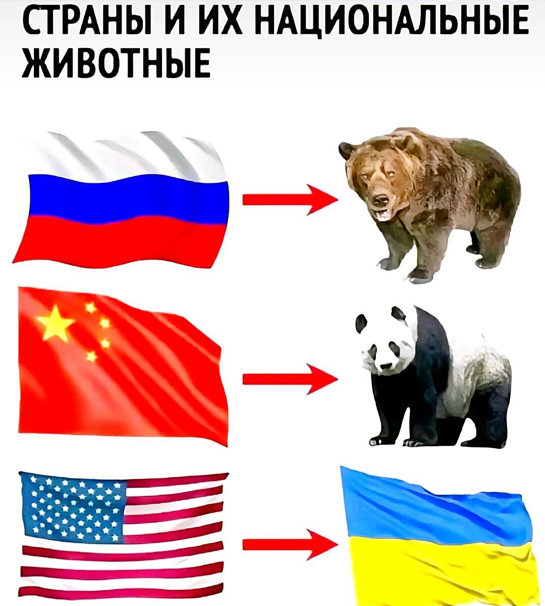 СТРАНЫ И ИХ НАЦИОНАЛЬНЫЕ ЖИВОТНЫЕ 91593 _ й _ у