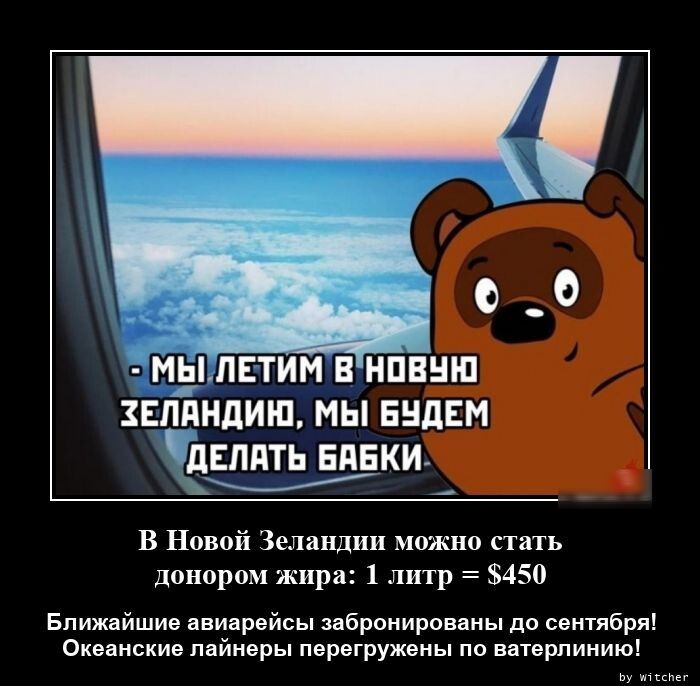 йндиш мы нндвм Чмм низки _ В Новом Зеландии мпжип с панорам жира 1 литр 450 Ближайшие авиарейсы аброиировдны до сенгября Оквпнсиио пнйнэры пврегружоиы по внтврпинию