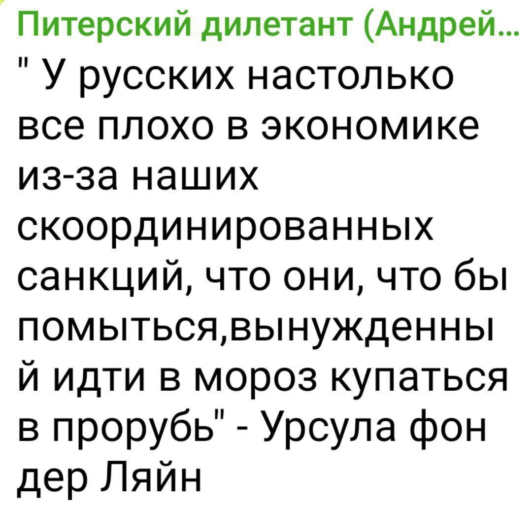 Питерский дилетант Андрей У русских настолько все плохо в экономике из за наших скоординированных санкций что они что бы помытьсявынужденны й идти в мороз купаться в прорубь Урсула фон дер Ляйн