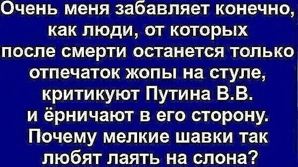 Очень меня забавляет конечно как люди от которых после смерти останется только отпечаток жопы на стуле критикуют Путина ВВ и ёрничают в его сторону Почему мелкие шавки так любят лаять на слона