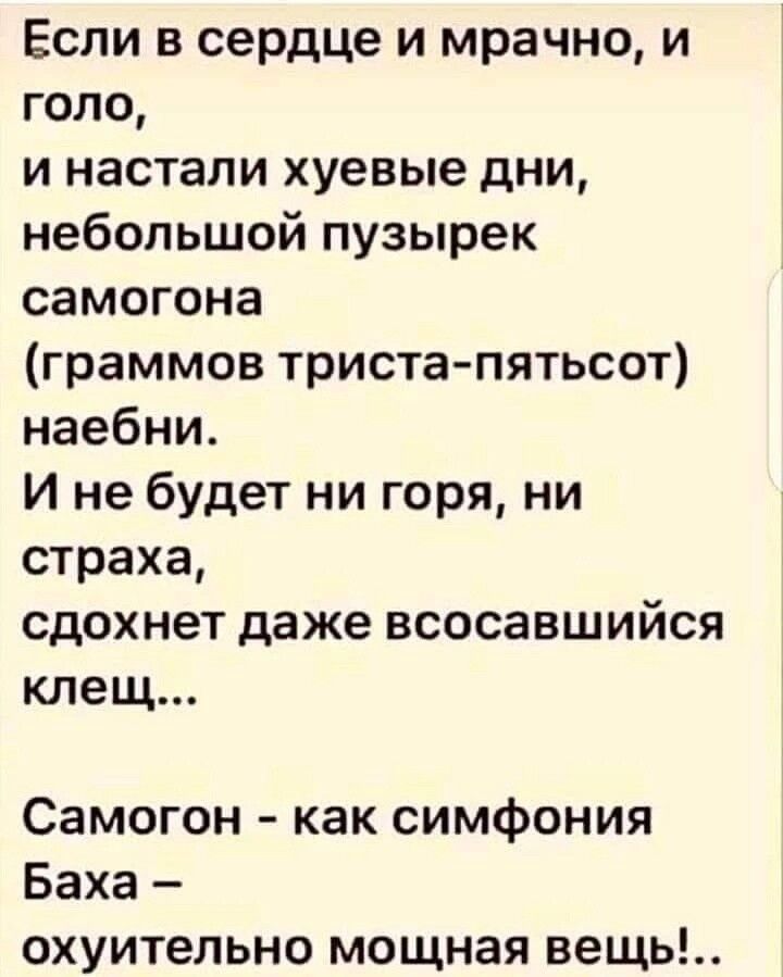 Если в сердце и мрачно и голо и настали хуевые дни небольшой пузырек самогона граммов триста пятьсот наебни И не будет ни горя ни страха сдохнет даже всосавшийся клещ Самогон как симфония Баха охуительно мощная вещь