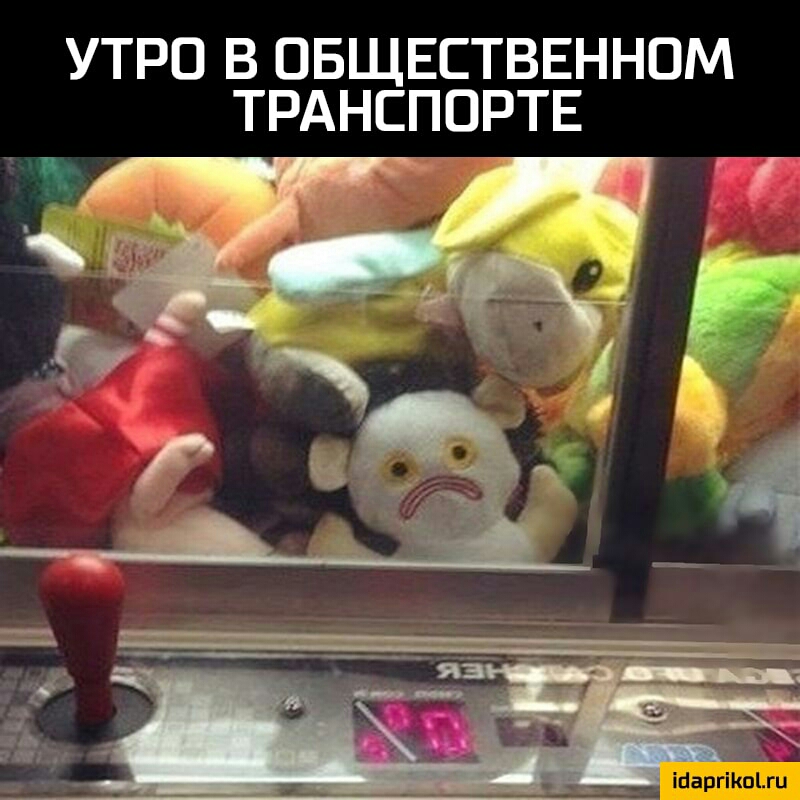 УТРО В ОБЩЕСТВЕННОМ ТРАНСПОРТЕ