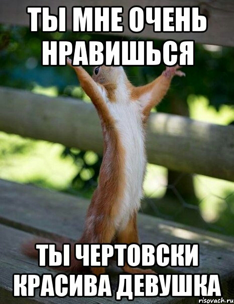 _ ТЫ ЧЕРШВВНИ НРАВИВА дЕВУШіЁЁИШ