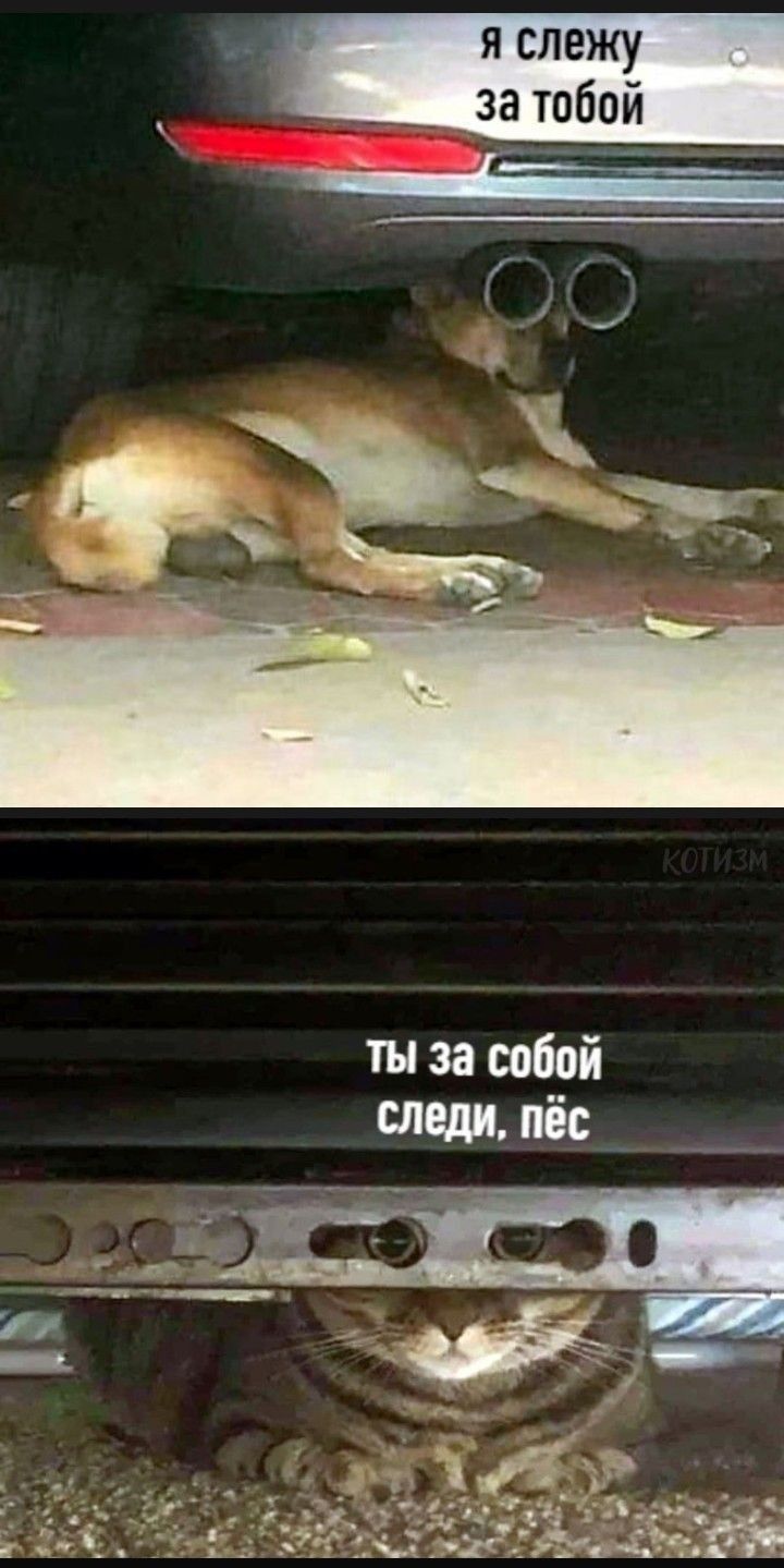 _ я слежу за тобой